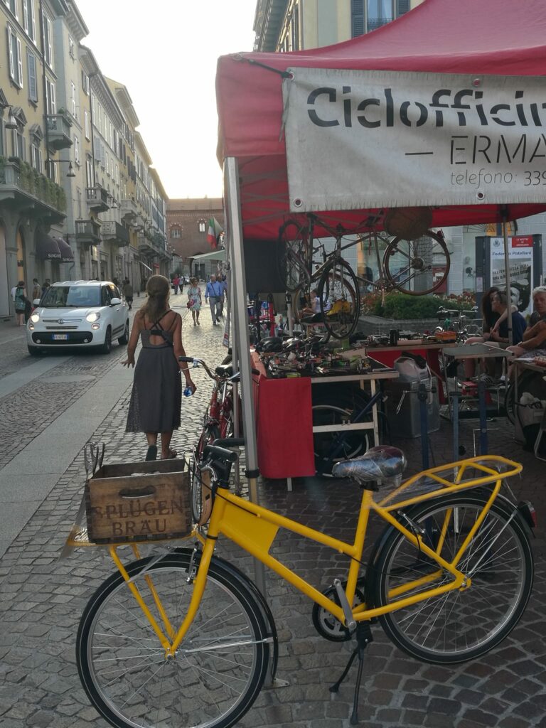 484210259 9280130488743527 4174746117732028690 n (1)