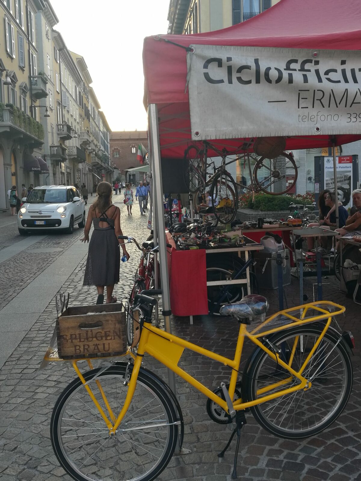 484210259 9280130488743527 4174746117732028690 n (1)