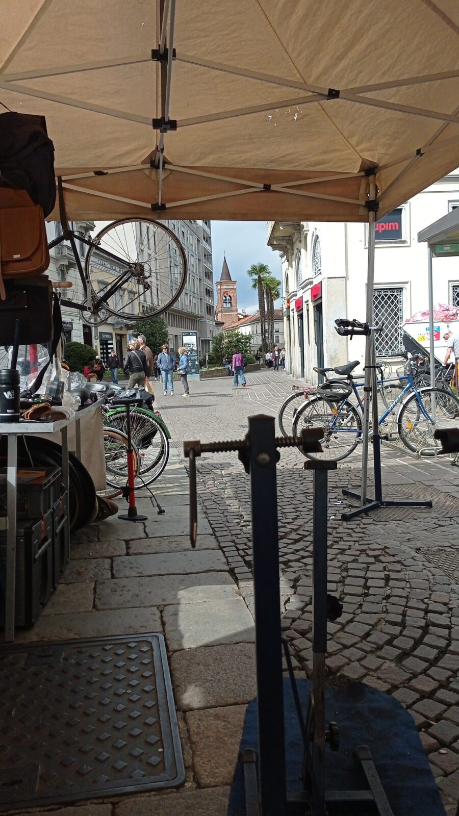 503391662 1188596269979523 1648508627624502158 n